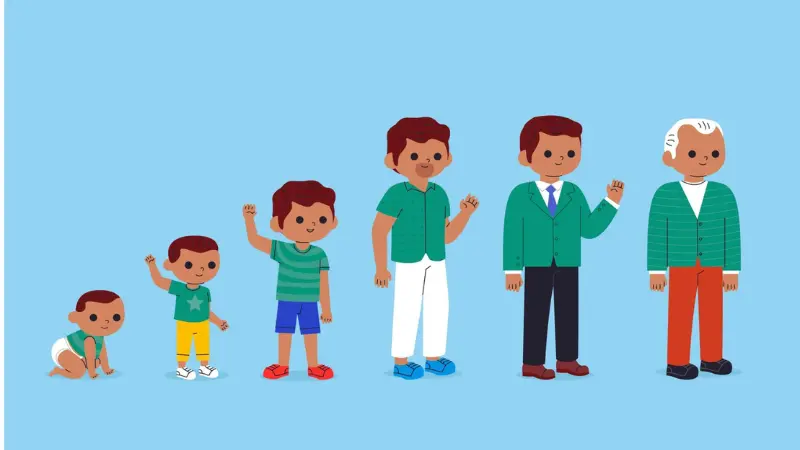 Child Growth and Development Chart